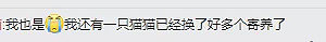 “拒交房租！”愤怒的学生发起40年来最大规模抗议活动（组图） - 13