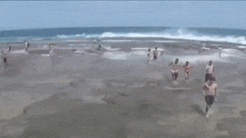 昆州海滩发生溺水事件，两男被巨浪卷走身亡！华人游客涉水事故频发，澳海滩隐藏“致命陷阱” - 20