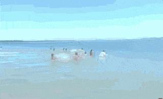 昆州海滩发生溺水事件，两男被巨浪卷走身亡！华人游客涉水事故频发，澳海滩隐藏“致命陷阱” - 23