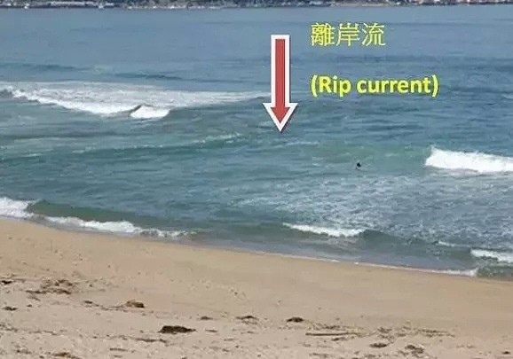 悲剧！2名亚裔爸爸澳洲海边被“活吞”，想救3个孩子却不敌“终极杀手”...（组图） - 22