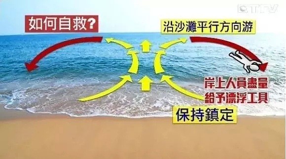 悲剧！2名亚裔爸爸澳洲海边被“活吞”，想救3个孩子却不敌“终极杀手”...（组图） - 31