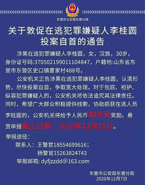 被悬赏30万的90后女黑老大：吸收20