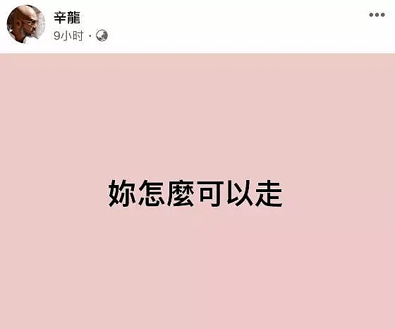 刘真离世近9个月，妹妹透露辛龙现状：独自抚养女儿，也没有工作（组图） - 6