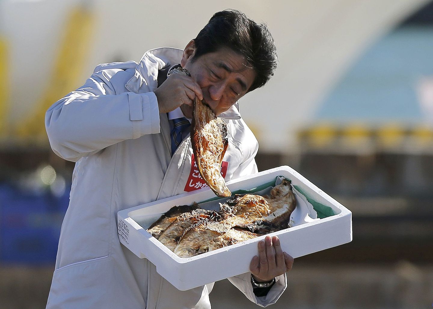 2014年12月2日，日本福岛索玛，日本众议院选举官方竞选活动启动，时任首相安倍晋三为自民党造势时吃当地烤鱼。（视觉中国）