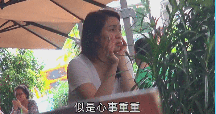 港媒曝洪欣张丹峰已协议离婚，5个细节或暴露夫妻早已情变（组图） - 6