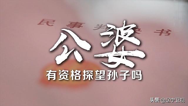 丈夫患重症留下孤儿寡母:1500万遗产 只给儿子40万（组图） - 11