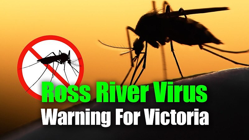 Ross-River-Virus-in-Victoria.jpg,0