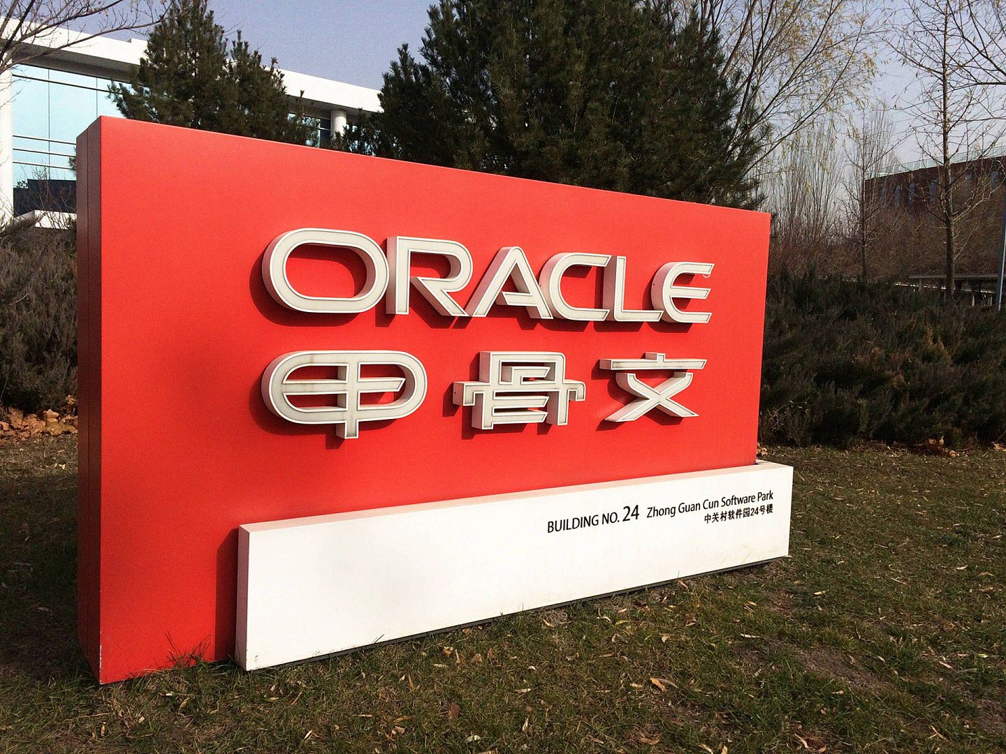 甲骨文（Oracle）公司的名字，来自美国中央情报局1977年设计的一套名为Oracle的数据库。（视觉中国）