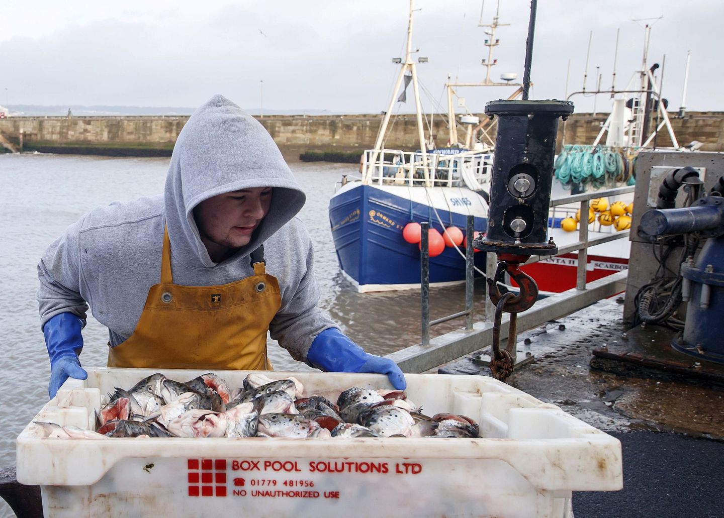 尽管就渔业问题达成一致，但英国服务贸易在协议中少有提及，仍然面临不小的冲击。（美联社）