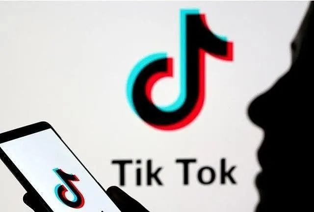 印度山寨“TikTok”，获得谷歌和微软超1亿美元投资