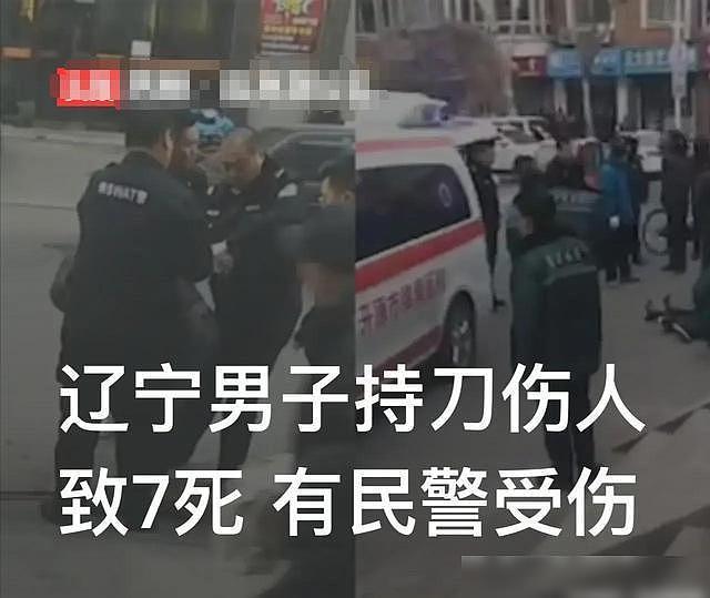 辽宁一男子持刀随机杀人致7死，警方通报：丧子离异对社会产生不满（视频/组图） - 2