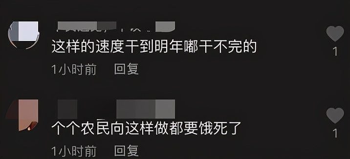 大衣哥儿媳种葱被批作秀，衣服干净崭新还戴戒指，和婆婆对比强烈