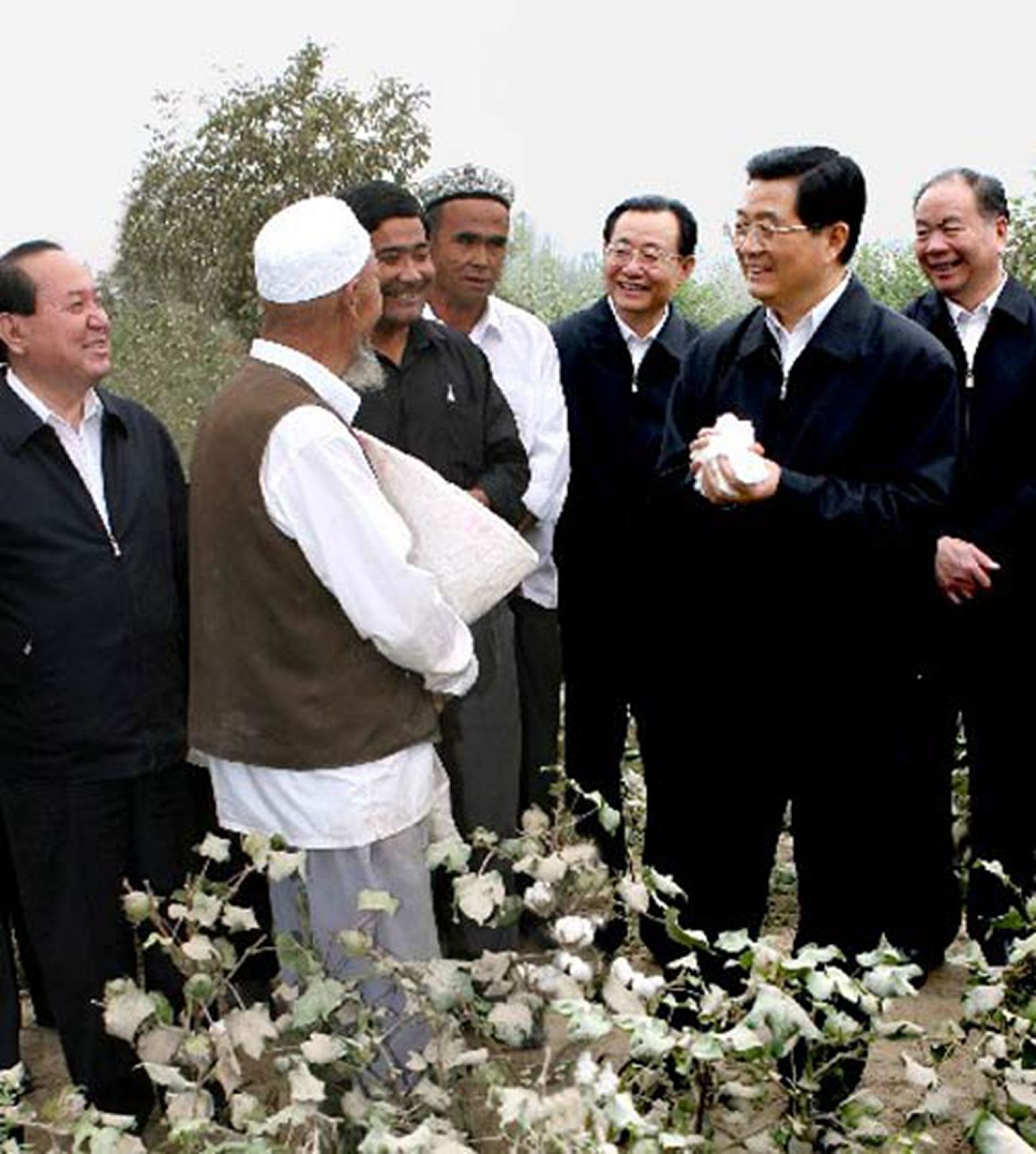 2006年9月8日，时任中国国家主席胡锦涛前往新疆视察，了解棉花生产和农民增收情况。（新华社）