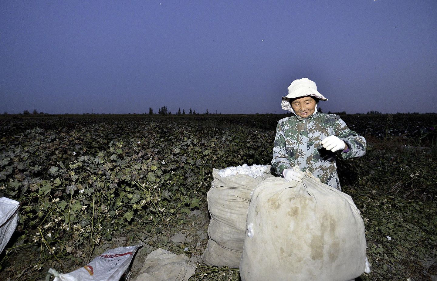 新疆棉花采摘季节，往往会有其他省份民众前往打工。（VCG）