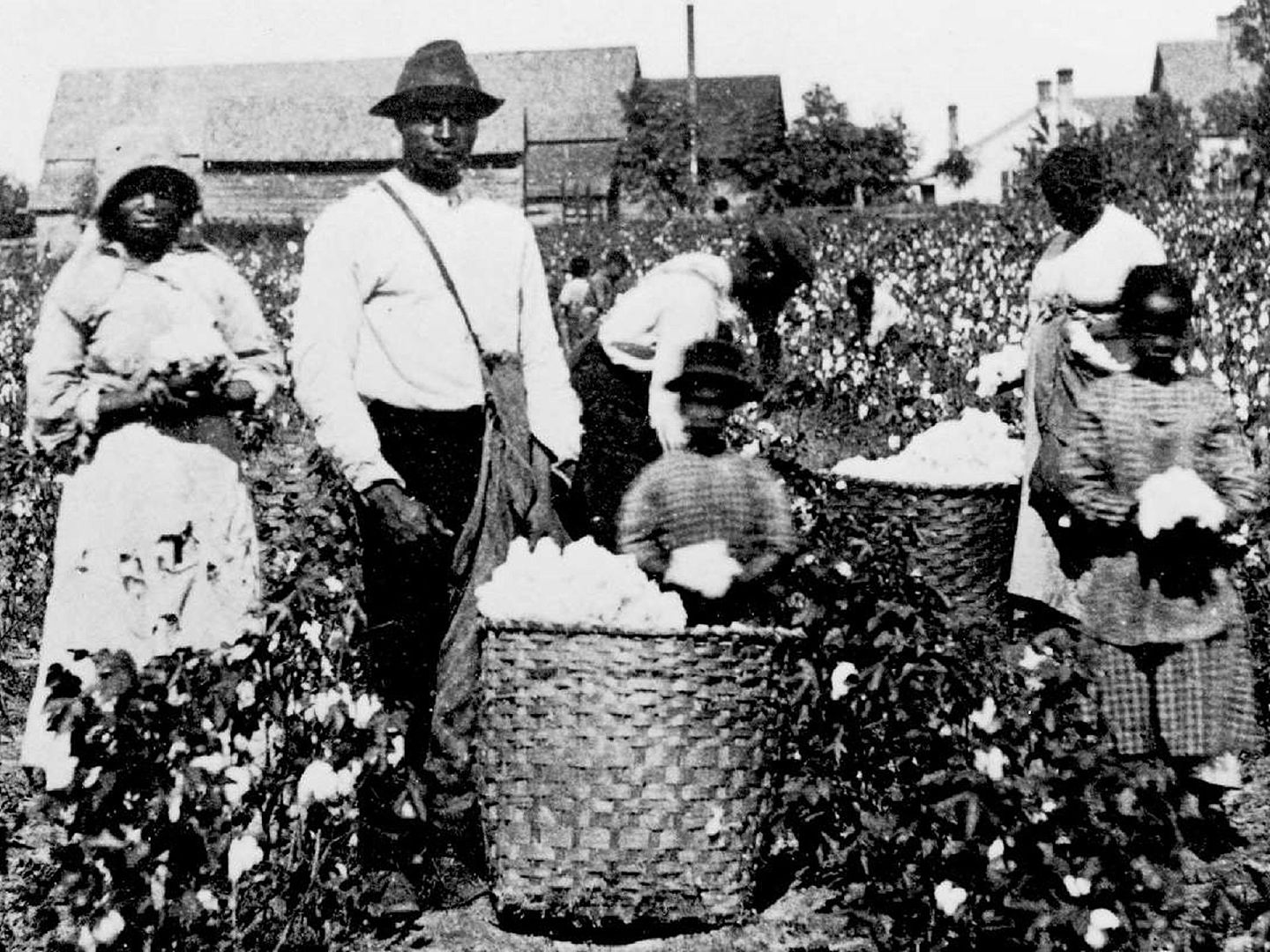 进入近代后，美国出现了“奴隶制”。（Getty）