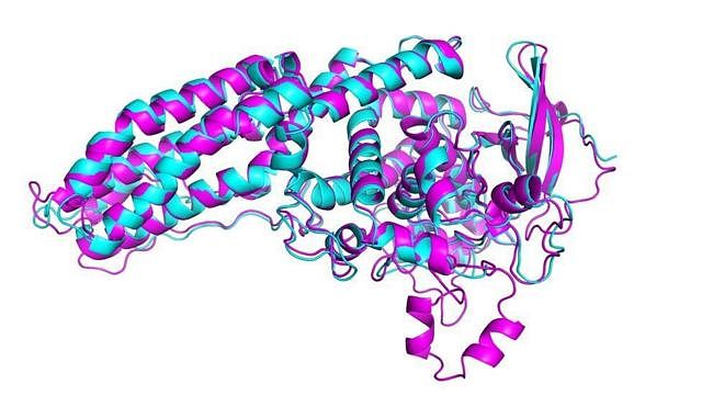 蛋白质A DeepMind model of a protein from the Legionnaire's disease bacteria