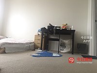 Burwood     大主卧 3分钟火车站唐人街全包