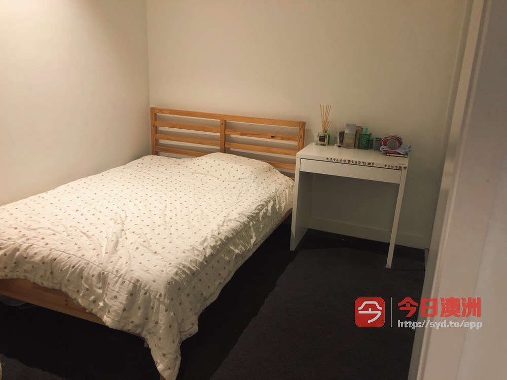 今日悉尼Melbourne City 一月底入住大味楼包家具City高层公寓2室1卫包家具整租 Melbourne City 一月底入住大味楼包家具City高层公寓2室1卫包家具整租