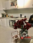 Macquarie Park   大房出租招爰乾淨女生