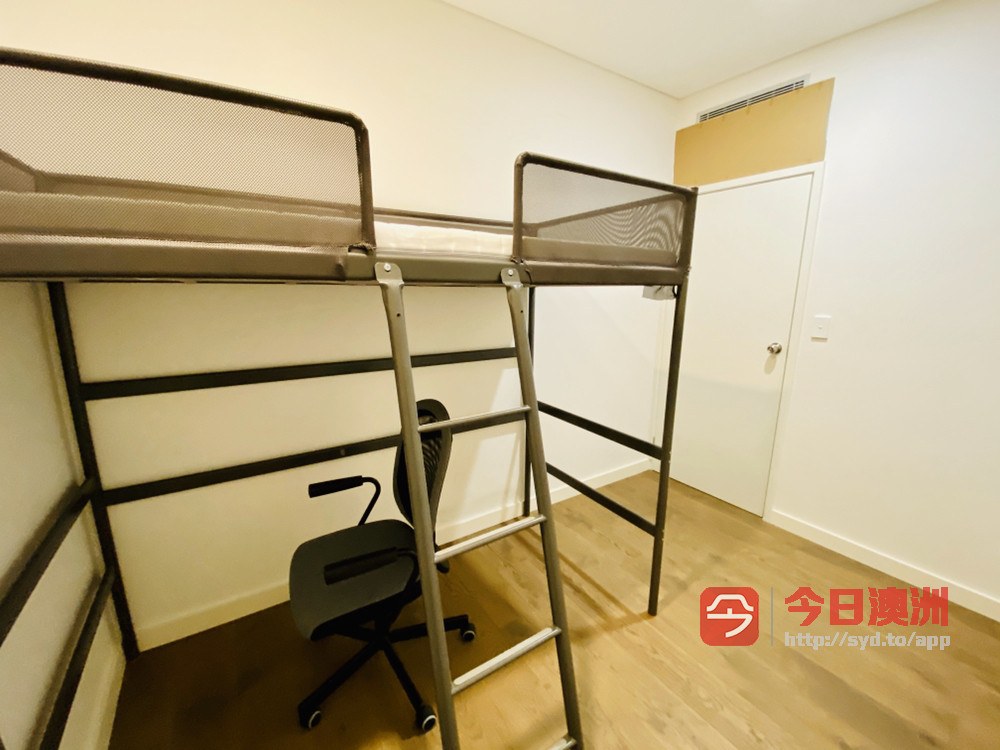 今日悉尼Zetland 秒到泰勒火车站超大单间包家具包bill拎包入住即可入住 Zetland 秒到泰勒火车站超大单间包家具包bill拎包入住即可入住