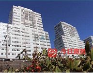 Burwood burwood次卧招租