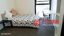 Zetland 公寓阳光温馨大普通房带家具家电的房间出租
