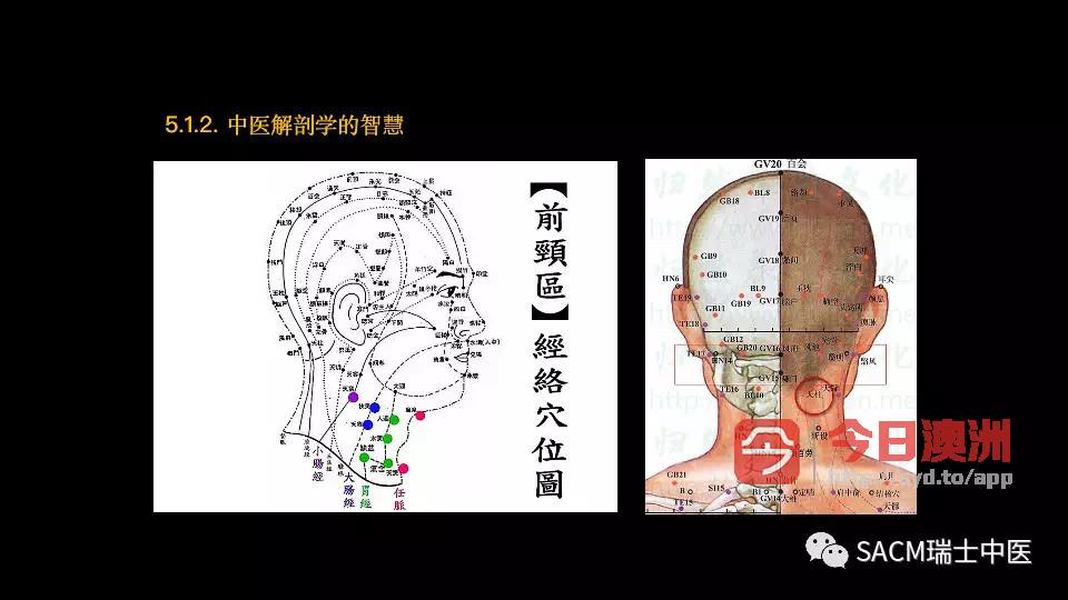  Chinese  medicine and acupuncture 中医针灸