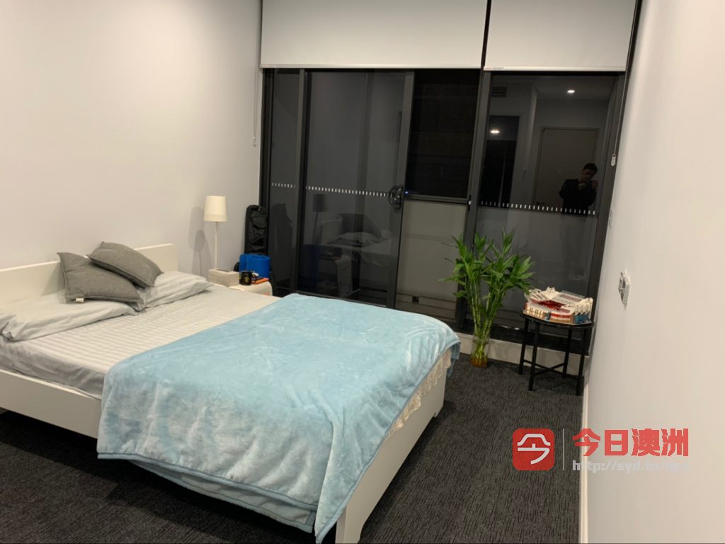 今日悉尼Zetland Rosebery Woolworth旁单人间出租 家具Bill全包 Zetland Rosebery Woolworth旁单人间出租 家具Bill全包