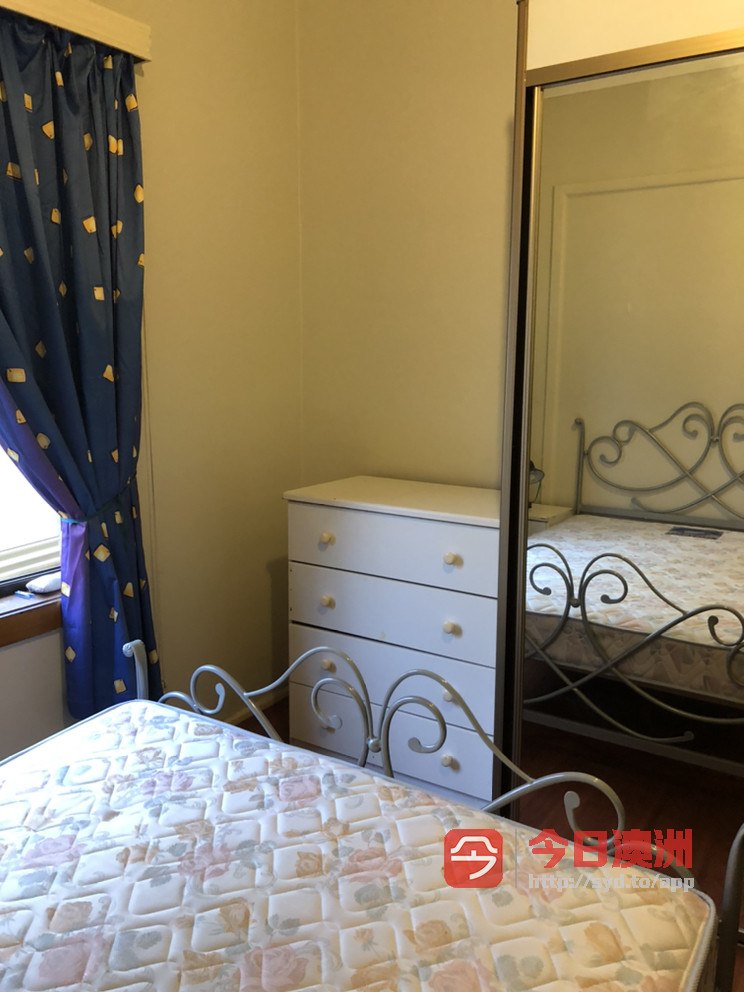 今日墨尔本Hurstville 单间出租 Hurstville 单间出租