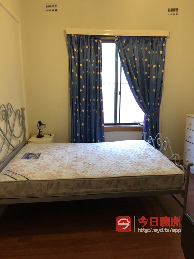 今日墨尔本Hurstville 单间出租 Hurstville 单间出租