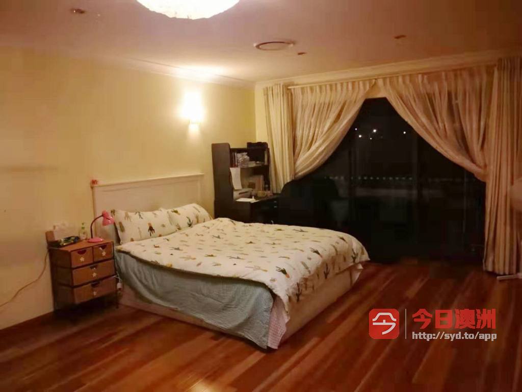 今日墨尔本Hurstville 一超大睡房出租 Hurstville 一超大睡房出租