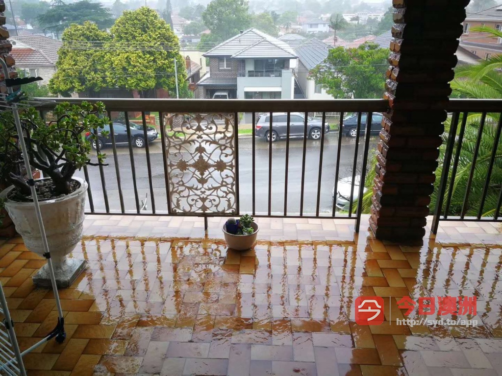 今日墨尔本Hurstville 一超大睡房出租 Hurstville 一超大睡房出租