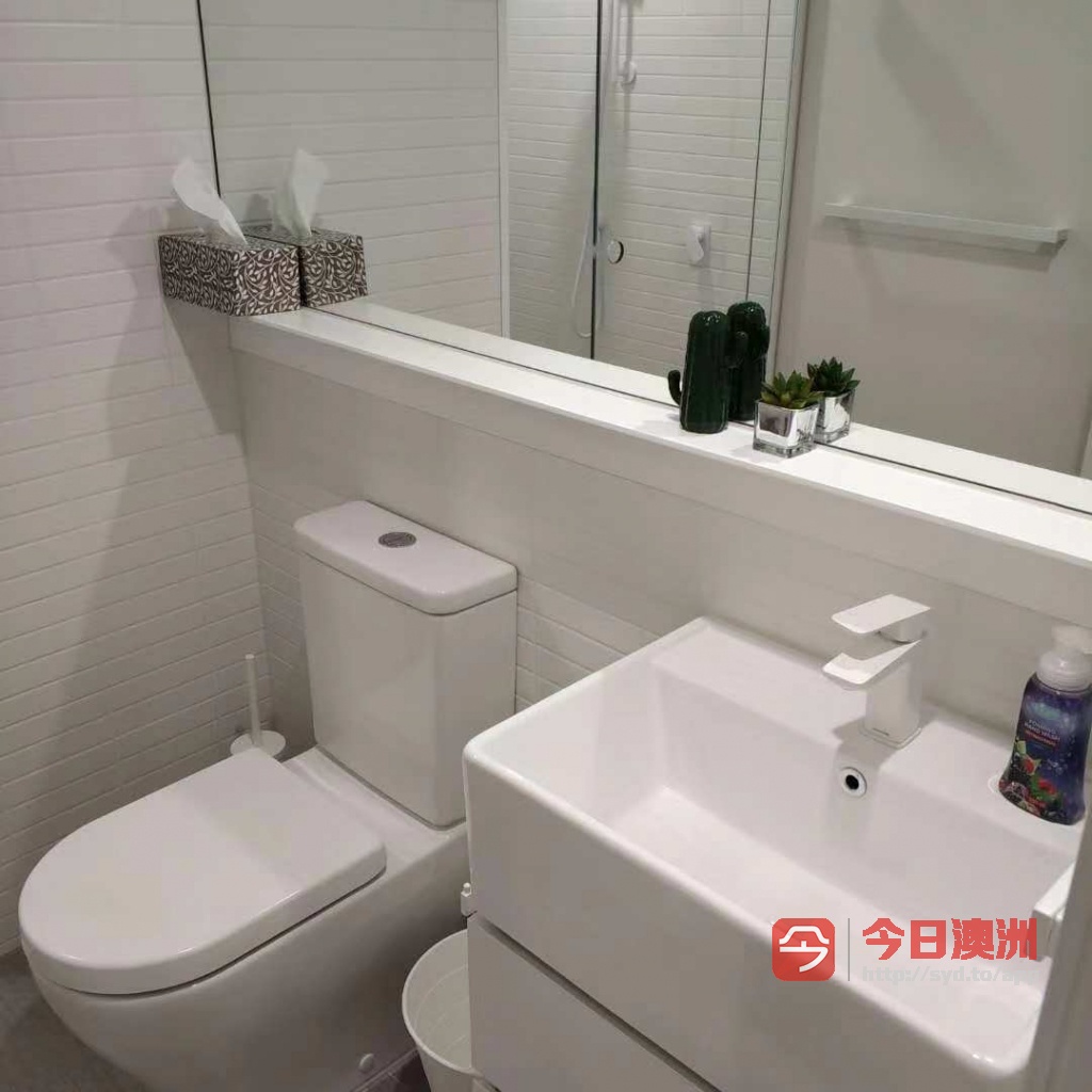 今日悉尼Melbourne City 市中心超低价两房一卫可先租半年全部优质家具拎包入住 Melbourne City 市中心超低价两房一卫可先租半年全部优质家具拎包入住