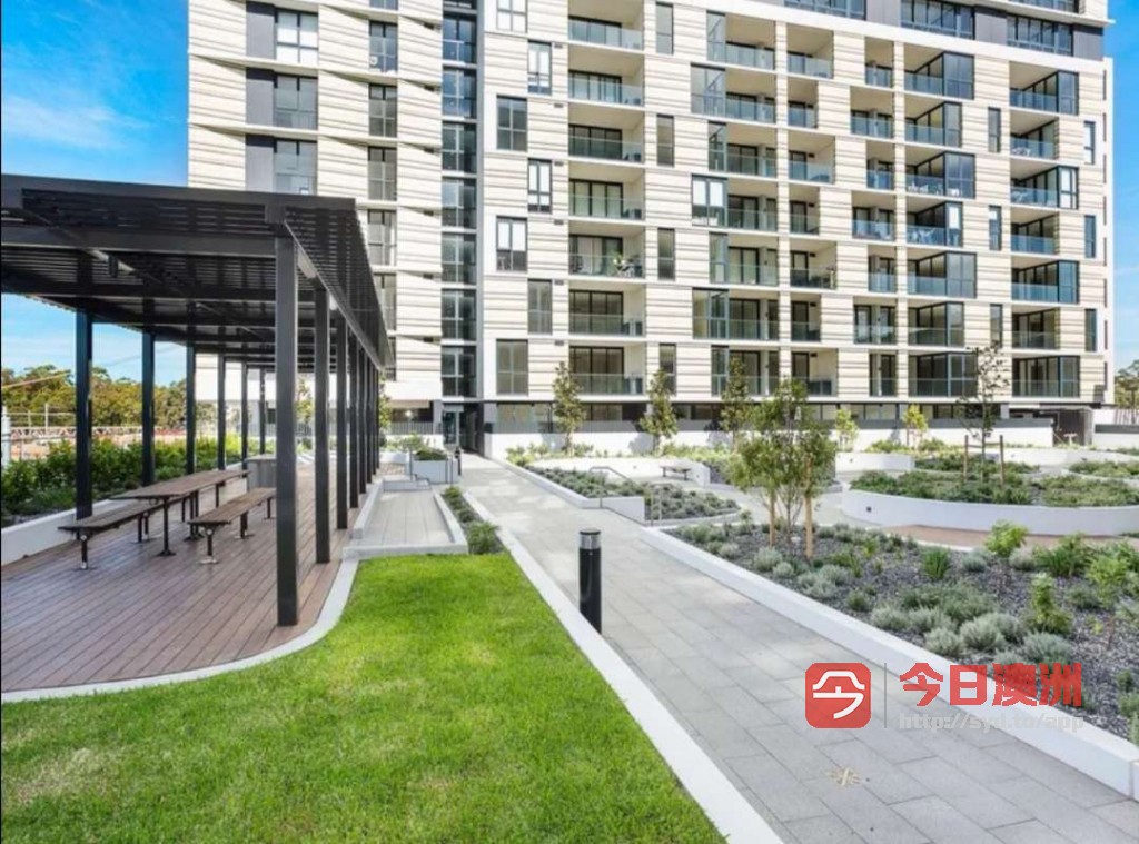 今日悉尼Macquarie Park 近新高级公寓Studio出租 Macquarie Park 近新高级公寓Studio出租