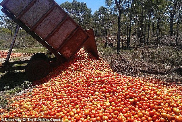 边境限制下，澳洲农场出现2.6万个岗位空缺！农业损失超$3900万（组图） - 3