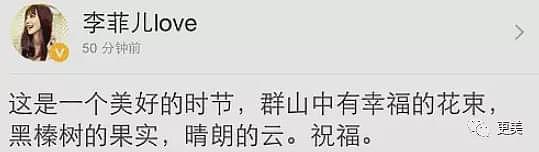 晓明baby李菲儿终撕破脸，横跨13年三角恋，到底谁插足？圈中大佬给出答案（组图） - 21