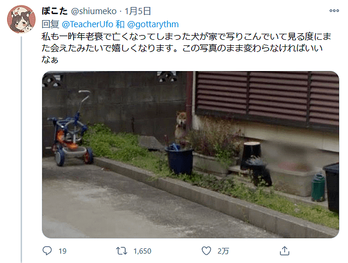 日本网友用谷歌街景看到过世7年的父亲：抽烟等母亲回家，众网友尝试后，惊呆了（组图） - 8