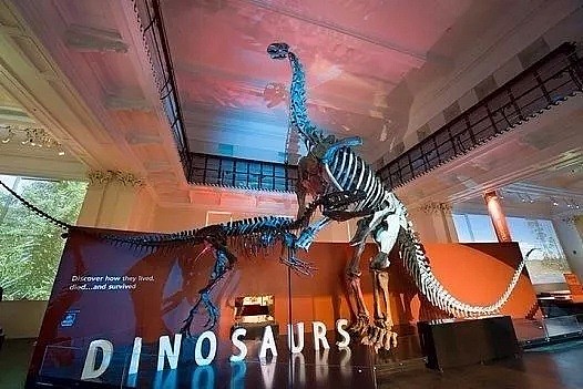 在澳洲，最好的东西，往往都是你无法带回国的...（组图） - 63