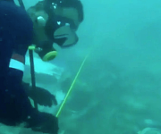 印尼客机海底搜寻画面曝光：遍地残骸，潜水员艰难翻找尸体…（组图）