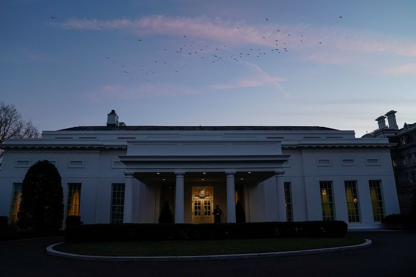 2021年1月14日，日落时分，美国华盛顿白宫上空有小鸟飞过白宫西翼。（Reuters）