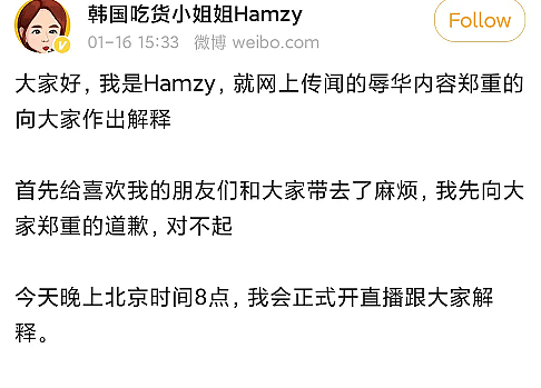 美食主播Hamzy为点赞辱华评论道歉，一天掉粉30万，宣布暂停更新（组图） - 12
