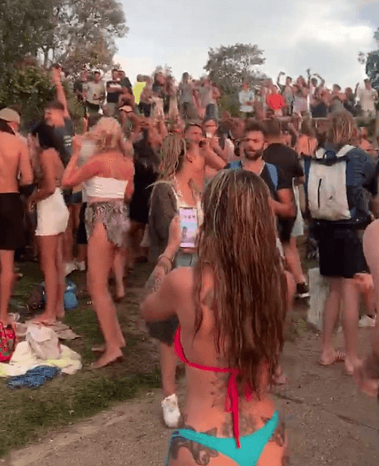 悉尼海滩再现百人派对，无视社交距离跳舞狂欢！警方介入调查（视频/组图） - 3