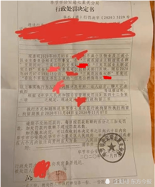 女子在群内骂社区支书是“草包”，被跨市铐走拘留3日（组图） - 3