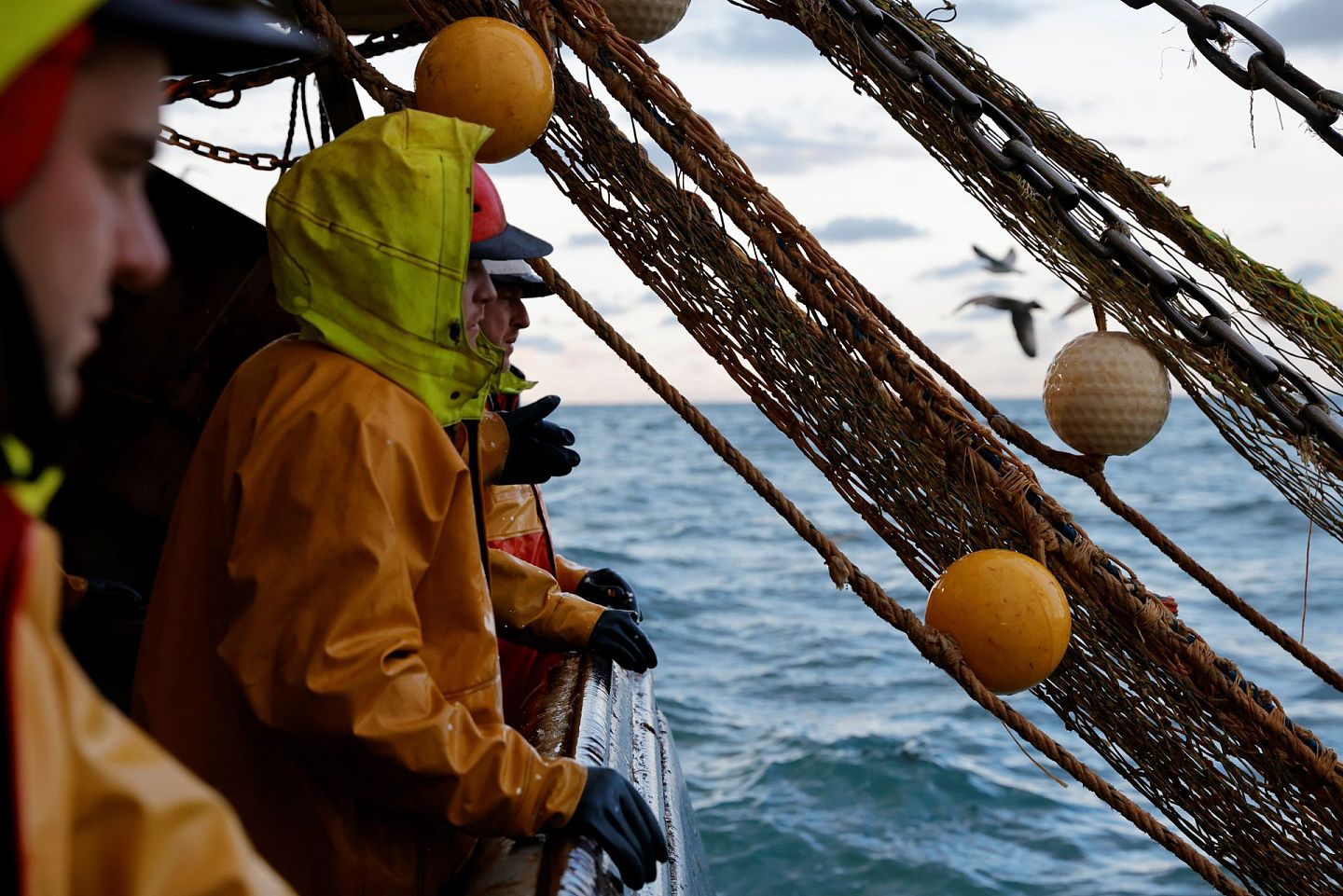 2020年12月7日，在法国北部海岸附近的北海，渔民们在布洛涅海上的“尼古拉·杰里米”拖网渔船上捕鱼。法国渔民在英国水域渔网捕获的东北大西洋鱼的四分之一，他们表示，如果英国脱欧限制他们进入旧渔场，他们的生活将受到影响。（Reuters）