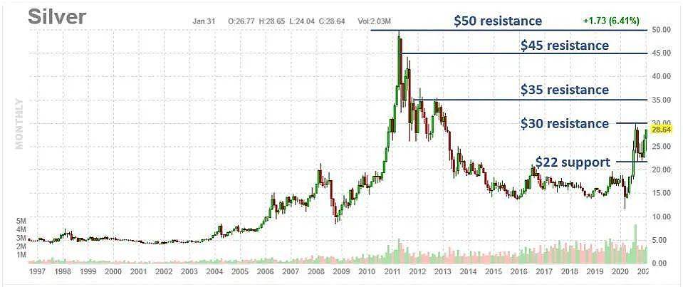 美国散户又盯上了白银，豪言要拉到1000美元（组图） - 8