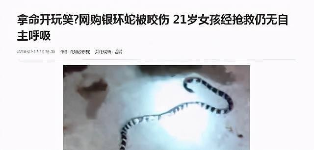 21岁中国女孩命丧毒蛇之口，真相曝光：活体快递真是害人害己（组图） - 13