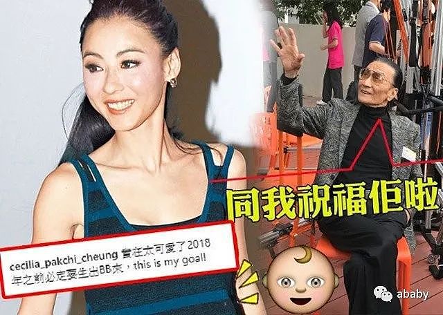 香港娱记爆料张柏芝为小儿子打算和谢霆锋复婚，因疫情暂不办婚礼（视频/组图） - 10