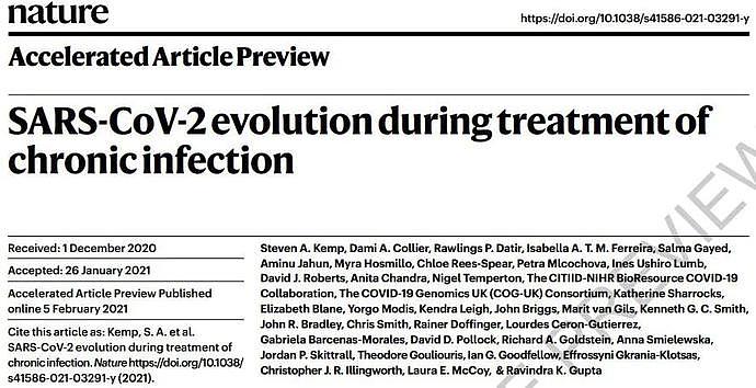 把人体当培养皿，新冠病毒100天内产生关键突变！《自然》病例揭露病毒进化过程（组图） - 1