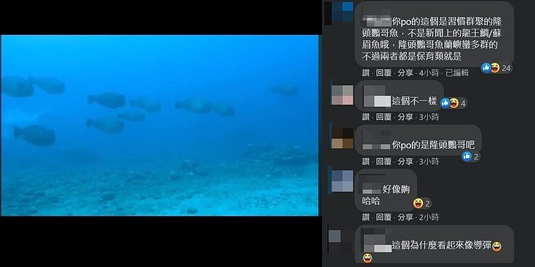 有民众在脸书上贴出兰屿海底照片，并表示龙王鲷在兰屿很多。 翻摄自脸书《兰屿大小事》