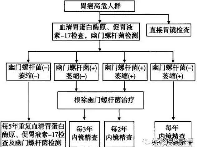 在西方胃癌是稀罕事儿，在中国几乎每天都有：做好两件事，就能有效预防！（组图） - 9